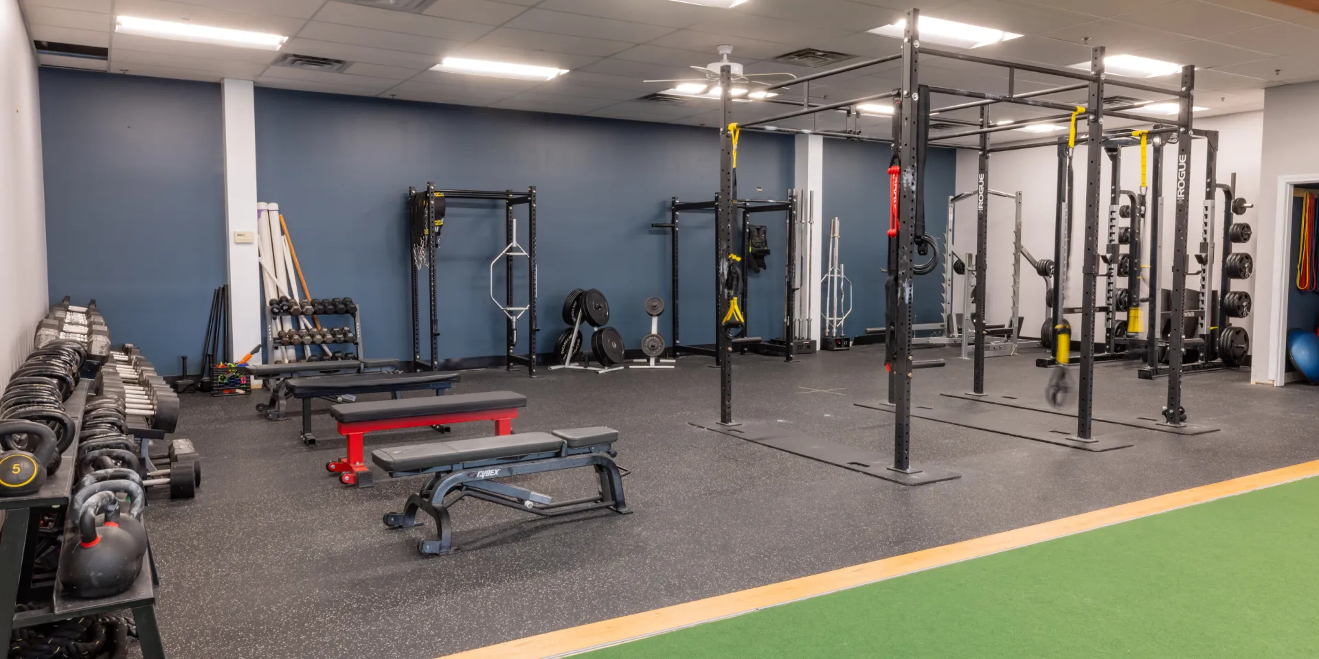 Parisi Speed School Powered by True Warrior Training Gym Equipment